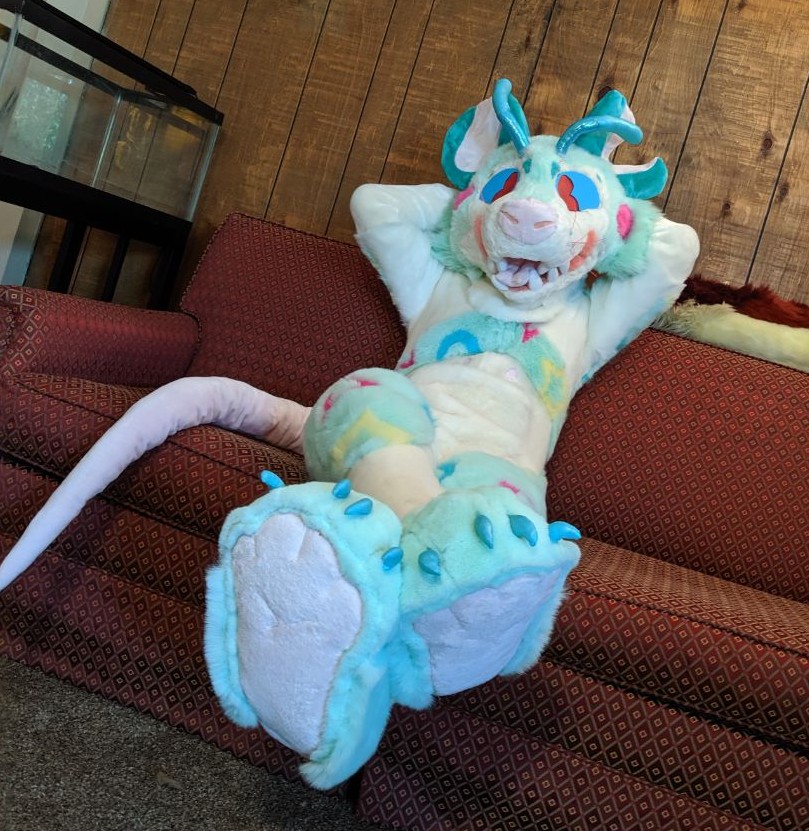 MilkMadeThreads's tweet image. Looks like Tetris is finally heading home soon! Wish him well on his journey! 

More pics coming soon! 
🛸: @ufopossum 
📸: @mackoolzie