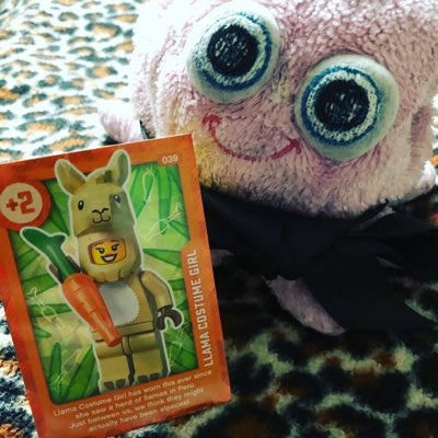 PinkThingPT's tweet image. #NewProfilePic