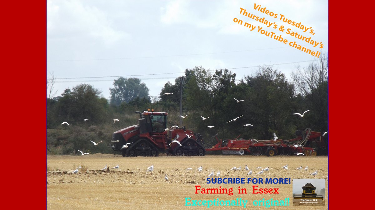 TheFarmer123YT's tweet photo. Farming in Essex - Cultivating tramlines with Case quadtrac 620 &amp; Vaderstad. [20]. Video live on my channel - Check it out https://t.co/9yan5ETJ7E Thanks 👍😀 @CaseIH_UK_IRE #Case #Case600 #Case620 #CaseQuadtrac #CaseQuadtrac600 #CaseQuadtrac620 #Quadtrac #Quadtrac600 https://t.co/lnS60QXcGj