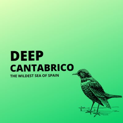 DCantabrico's tweet photo. #NuevaFotoDePerfil https://t.co/pvyAyQvvpV