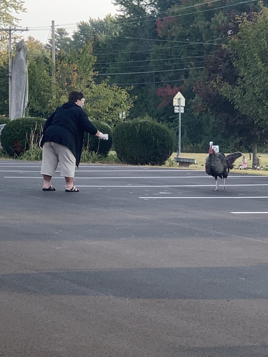 SMSSchool3510's tweet photo. Oh what fun we have at SMS! Mrs. Kanai takes temps and chases away the pesky turkeys, 3rd grade works on math at home and in school and Kindergarten rocks out today! #smsfriends #rcda @NYSCatholicConf @EvangelistALB @RCDASupt @CathSchoolNews @WTEN @SienaCollege @RCDASchools https://t.co/m9zX5ruglC