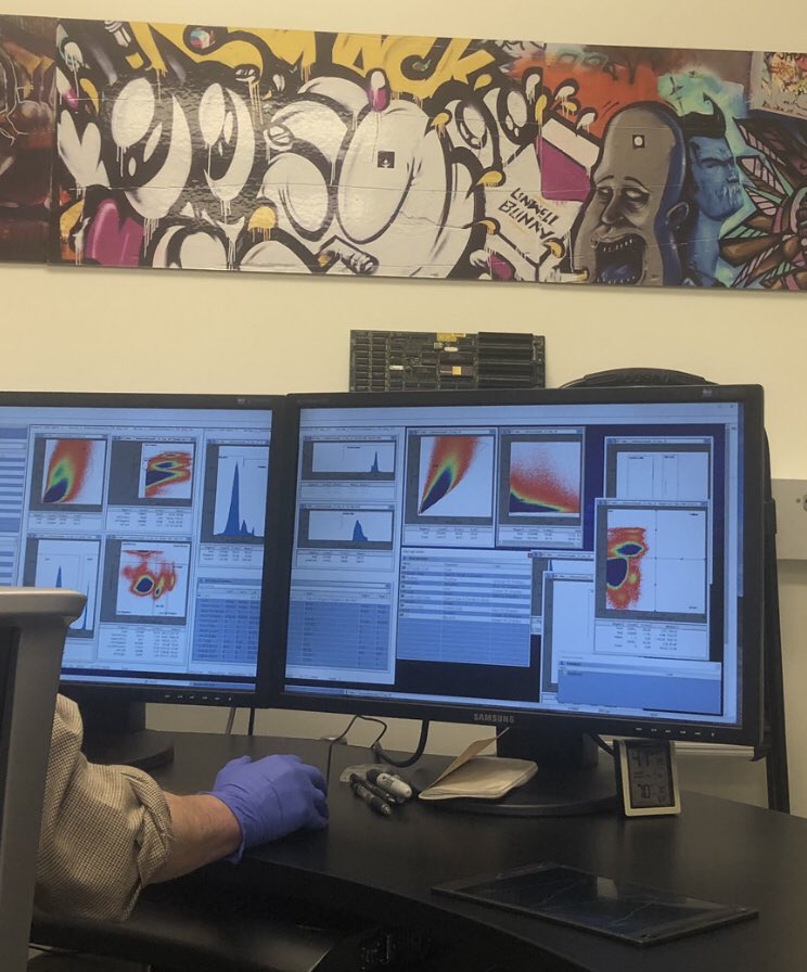 HeikeNeuro's tweet photo. sorting cells for the first time - with the pros! So much fun, especially when the cells are alive 🥵
#facs #cellsorting #sciencing #hippocampus #newexperiments https://t.co/6hWu5FRspc