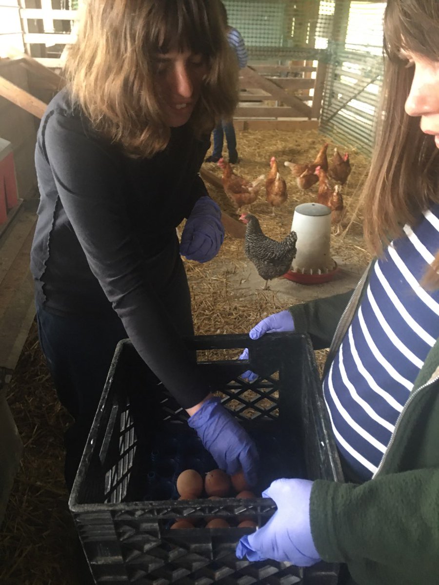 TCFDiscovery's tweet photo. #TCFD residents paid a visit to #SweetHill farm to lend a helping hand at collecting eggs, visit w/our beloved donkeys, & to get a game of checkers going! Fun fact: the group has also been learning how to use a solar wax melter to melt down bees wax used to make lip balm! https://t.co/uwLWHLzRrJ