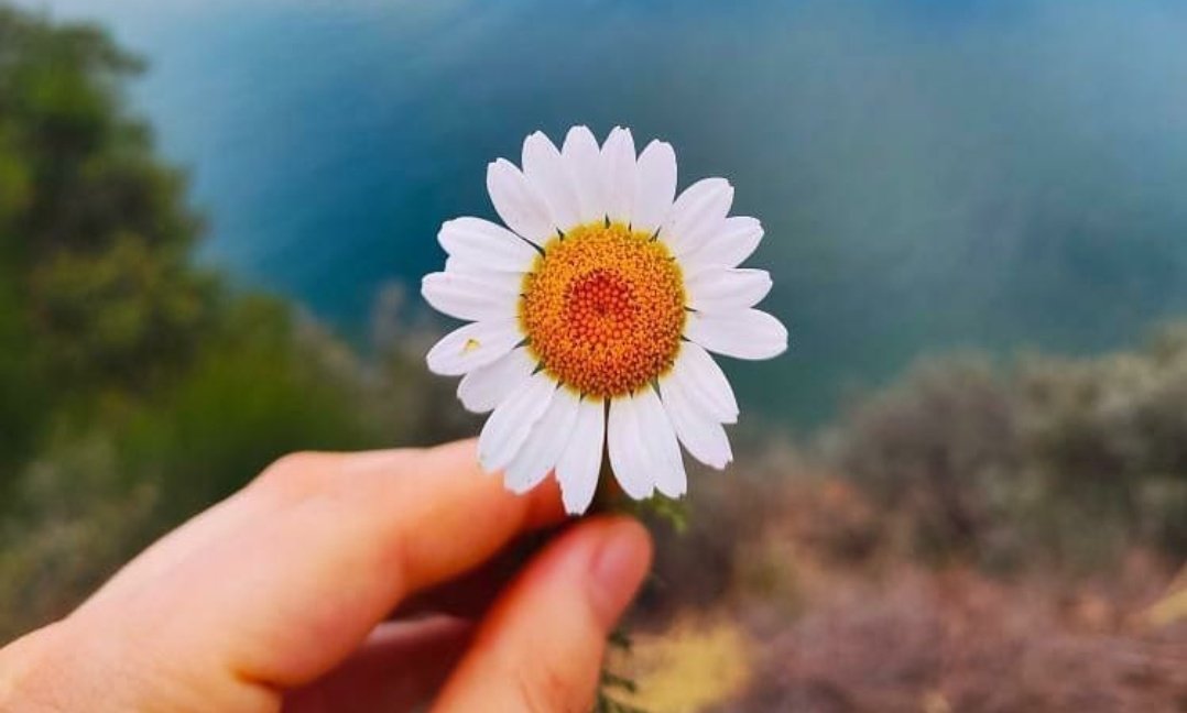 MT47020110's tweet photo. Şunu asla kalbimden çıkarmadım. "Kalben gülecek günlerin yakın olduğunu.. "🕊️ https://t.co/GpzbXDMm08