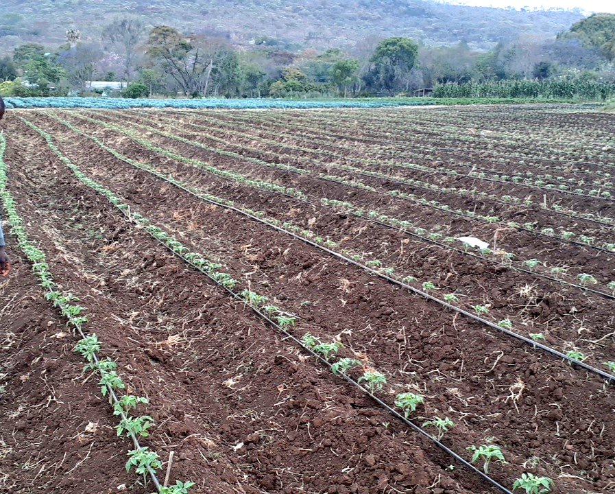 Mudumenwemari..Int'l tweet media