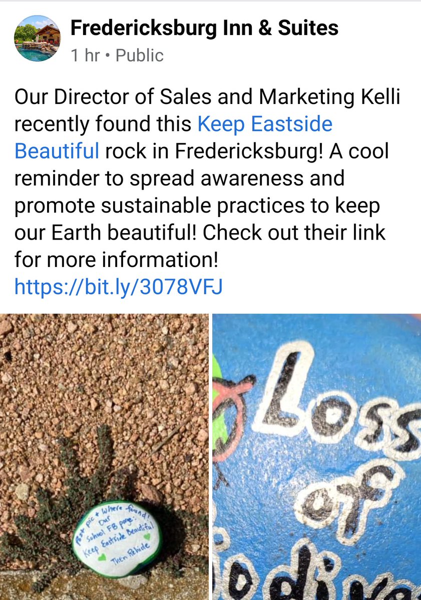 KEIB_MsBarton's tweet photo. Our Planet Earth rocks are making it around Texas! 💚KEiB💚 💚Green Teens💚 https://t.co/HhjKPxjICM
