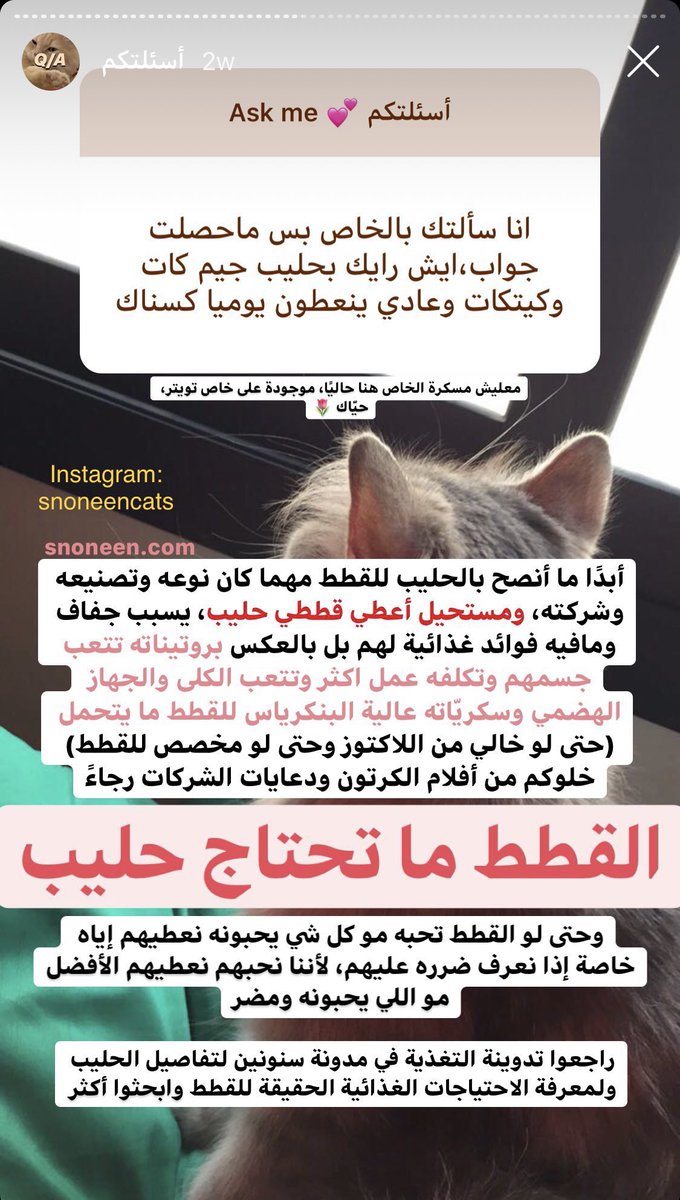 مدونه سنونين