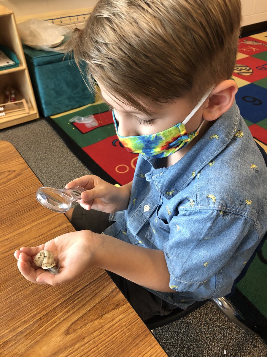 THE CRITTERS HAVE ARRIVED and these jellies were more than ready to explore today