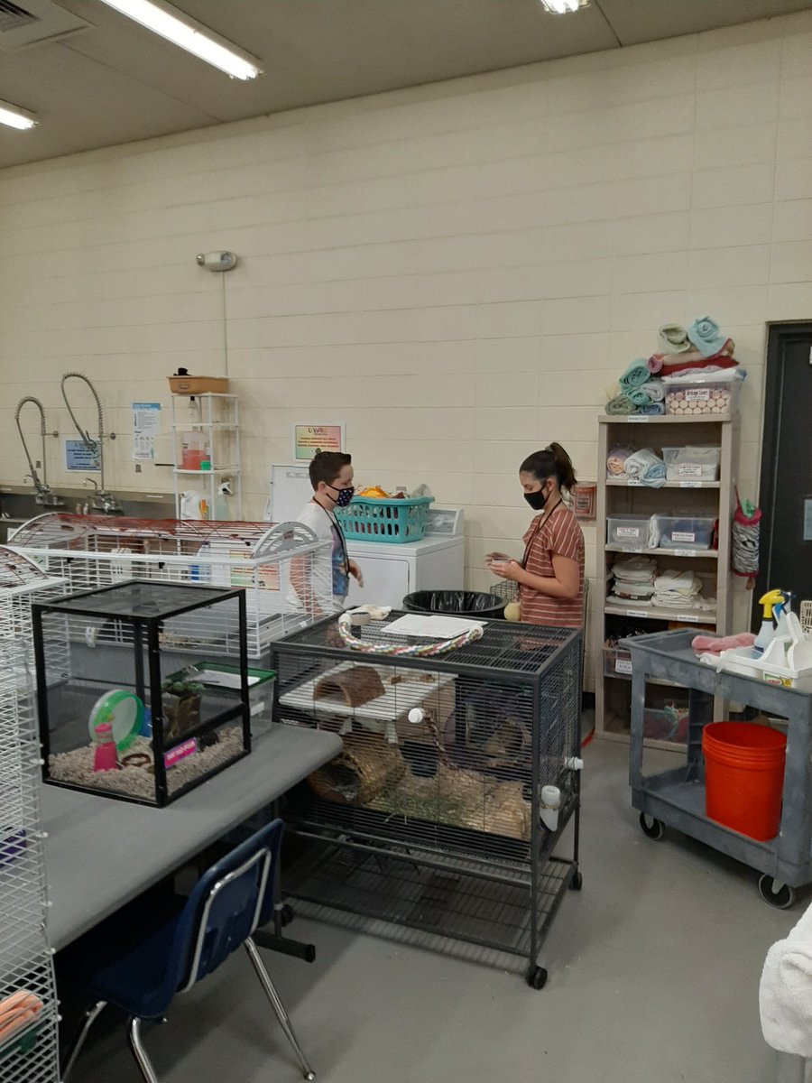 LivingMaterials's tweet photo. The LMC critters were so HOPPY to finally welcome back student volunteers today! https://t.co/OGa0iJqmOm