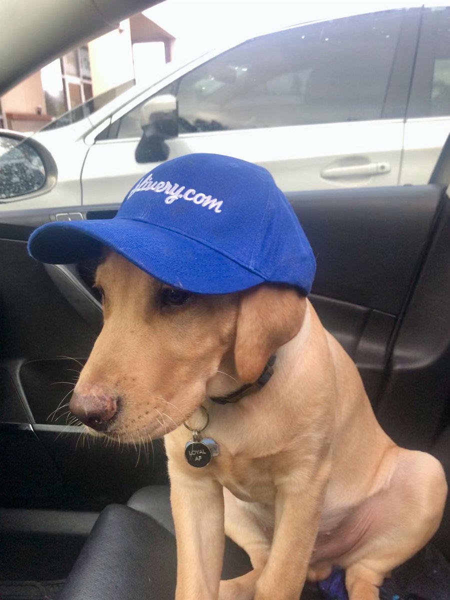 Mytown2goP's tweet photo. This cutie applied to be a driver. We couldn’t say no! 😍🐶 https://t.co/hSrsk5DmtA