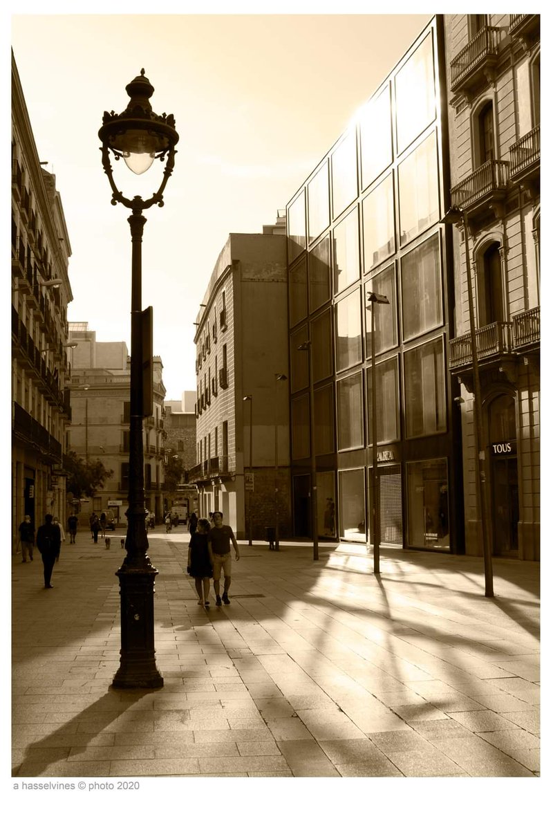 hasselvines's tweet photo. Sèrie: Gòtic
Titol: Vidre i pedra
CANON EOS 77D
TAMRON 18-200mm distància focal 23mm
f10 ISO100 Av
Una de les coses que m'encanten del Gòtic es l'armonia entre lo nou i lo vell, vidre i pedra.
#hasselvines #barcelona #gòtic #arquitecture #canon #eos77d #tamron #bncretiu https://t.co/S5w0nxMblN