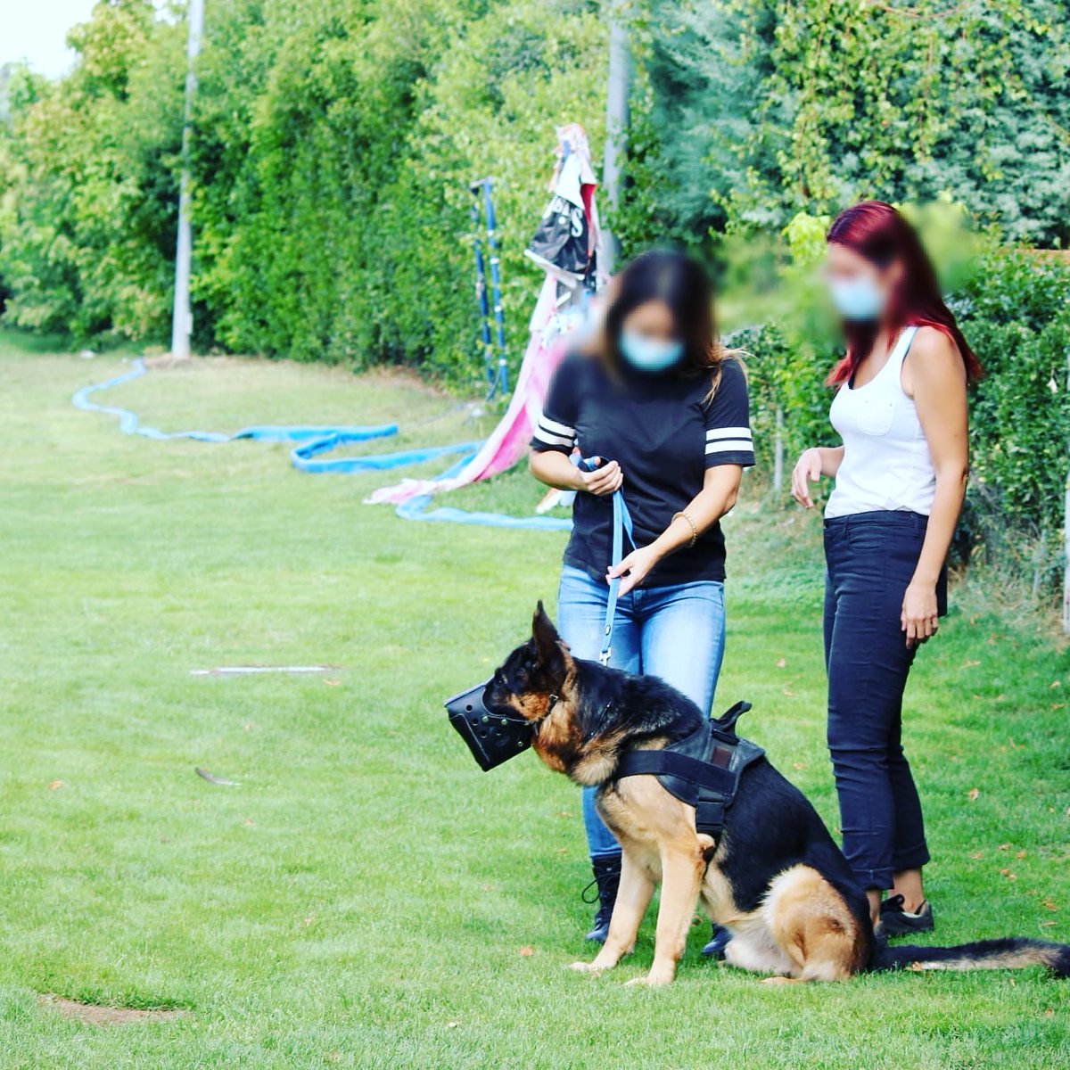 Cuando se comienza el entramiento nos apoyamos unas en otras...
Por eso este proyecto funciona!!!