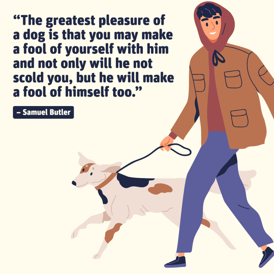 1st_flooring's tweet photo. Share if you agree! 🐶💛 https://t.co/AA25j2nUeS