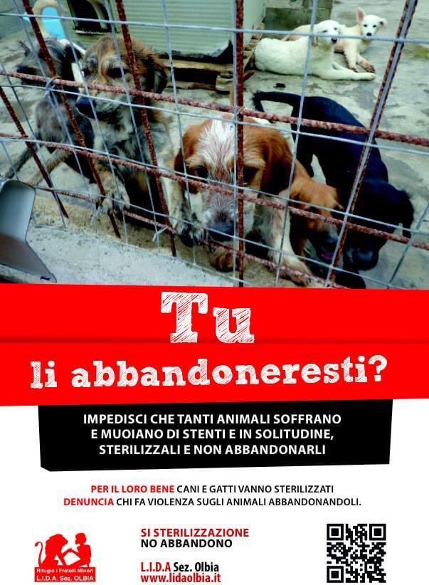 LidaSezOlbia's tweet photo. La @LidaSezOlbia, con l’associazione australiana #VetsBeyondBorders, intende attuare una #campagnadisterilizzazione CON CONTRIBUTO LIBERO, per cani e gatti di proprietà appartenenti a cittadini in condizioni di disagio sociale.
https://t.co/fReyREzgtM
⬇️leggi tutto nelle foto⬇️ https://t.co/IB91JRsYcP