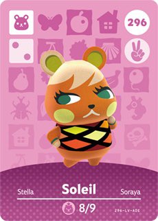 Soleil- Chinese Hamster! Did you know this hamster has the longest tail out of any of the other hamster species!