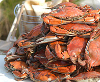 One Bushel Jumbo Steamed Maryland Blue Crabs ( Female ) - tinyurl.com/y587cz7x Also:freethings.site #CrabMeat