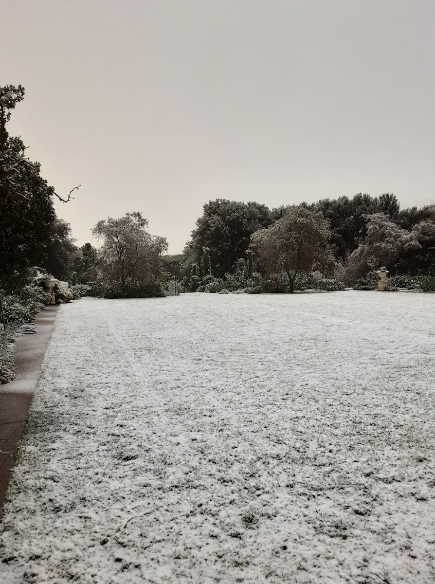 It's  #snowing in SA. These pics from  #Dillowie homestead in the state's Mid North. How exciting!