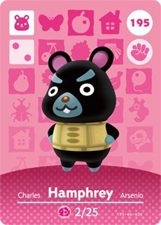 Hamphrey- a black Syrian hamster! Commonly this hamster is female but males are possible!