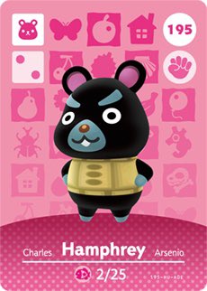 Hamphrey- a black Syrian hamster! Commonly this hamster is female but males are possible!