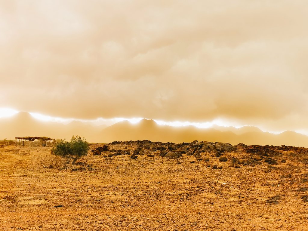 Rhoumour's tweet photo. #Agadez : #les4temps : 1) Le vent de sable, 2) L'arrivée de l'orage, 3) L'après orage et 4) Un magnifique couché de soleil. #Niger https://t.co/lDuqMnrIb6