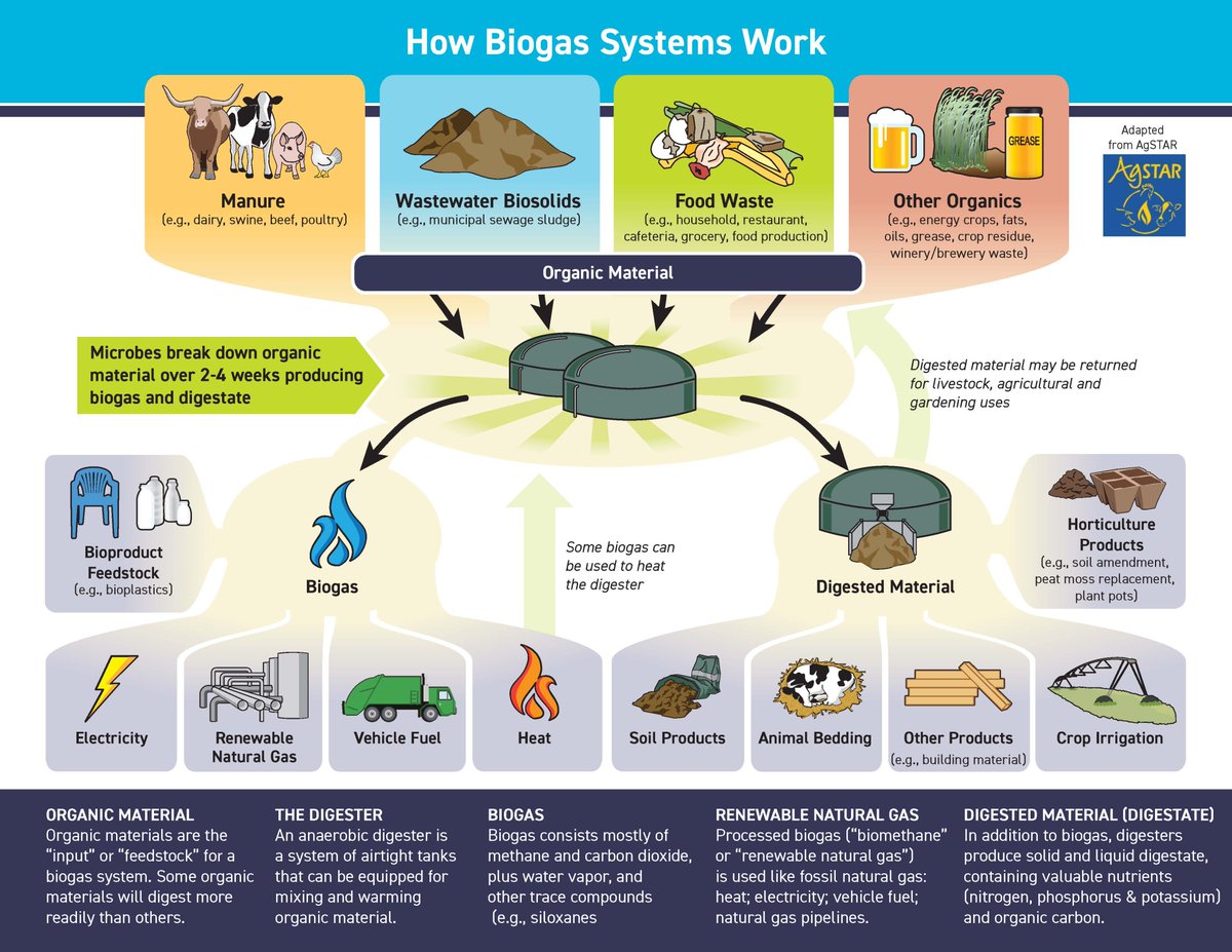 ambiogascouncil's tweet photo. Did you know biogas systems recycle organic material, like food scraps and manure, into renewable energy and soil products, using naturally occurring microbes like the ones in a cow's stomach? #biogas #RNG #renewableelectricity #CleanEnergyWeek https://t.co/9LSMCvkoiV