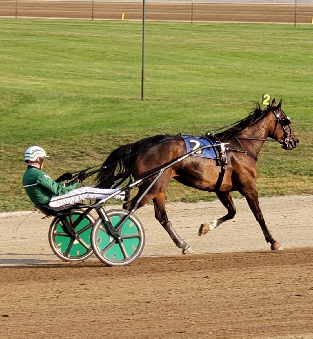 Plunge Blue Chip 151'3 😍