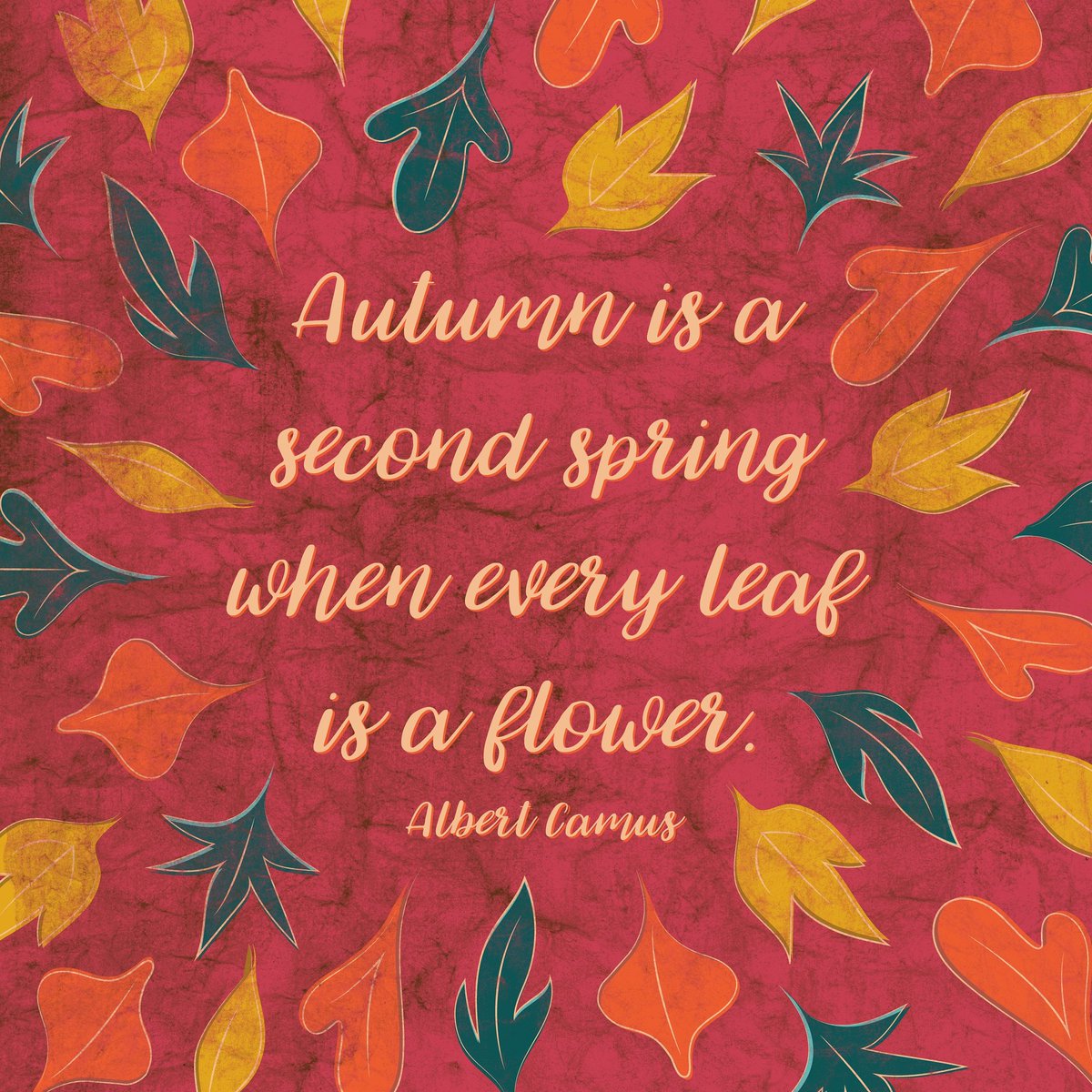 SilverEelStudio's tweet photo. One of my favorite quotes for my favorite season 💛🍂

Happy fall!

#illustrator #fallquotes #falldecor #autumn #botanicalart #fallleaves https://t.co/qpJOAqjGuM