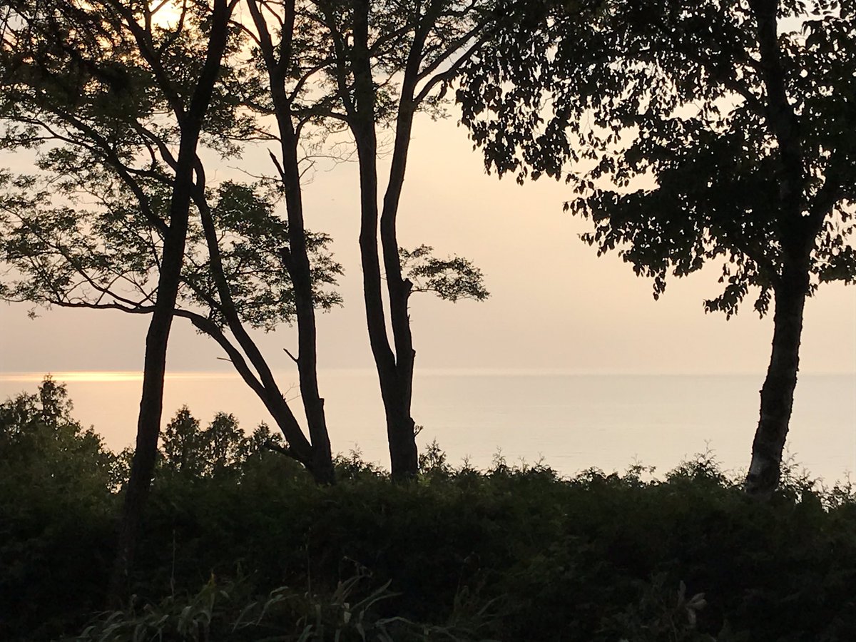 karentigani's tweet photo. Same view yet oh so different...nature is a wise and wonderful teacher. #ChooseToNotice #perspective https://t.co/4PJTPQPNMM