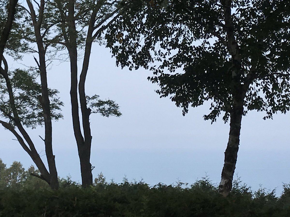 karentigani's tweet photo. Same view yet oh so different...nature is a wise and wonderful teacher. #ChooseToNotice #perspective https://t.co/4PJTPQPNMM