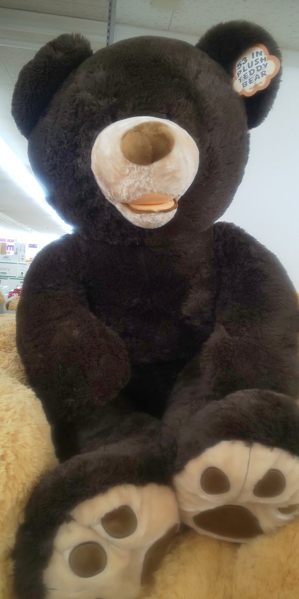 ミニコス桔梗 (@wW6kZsWNwDA9RVL) / Posts / X