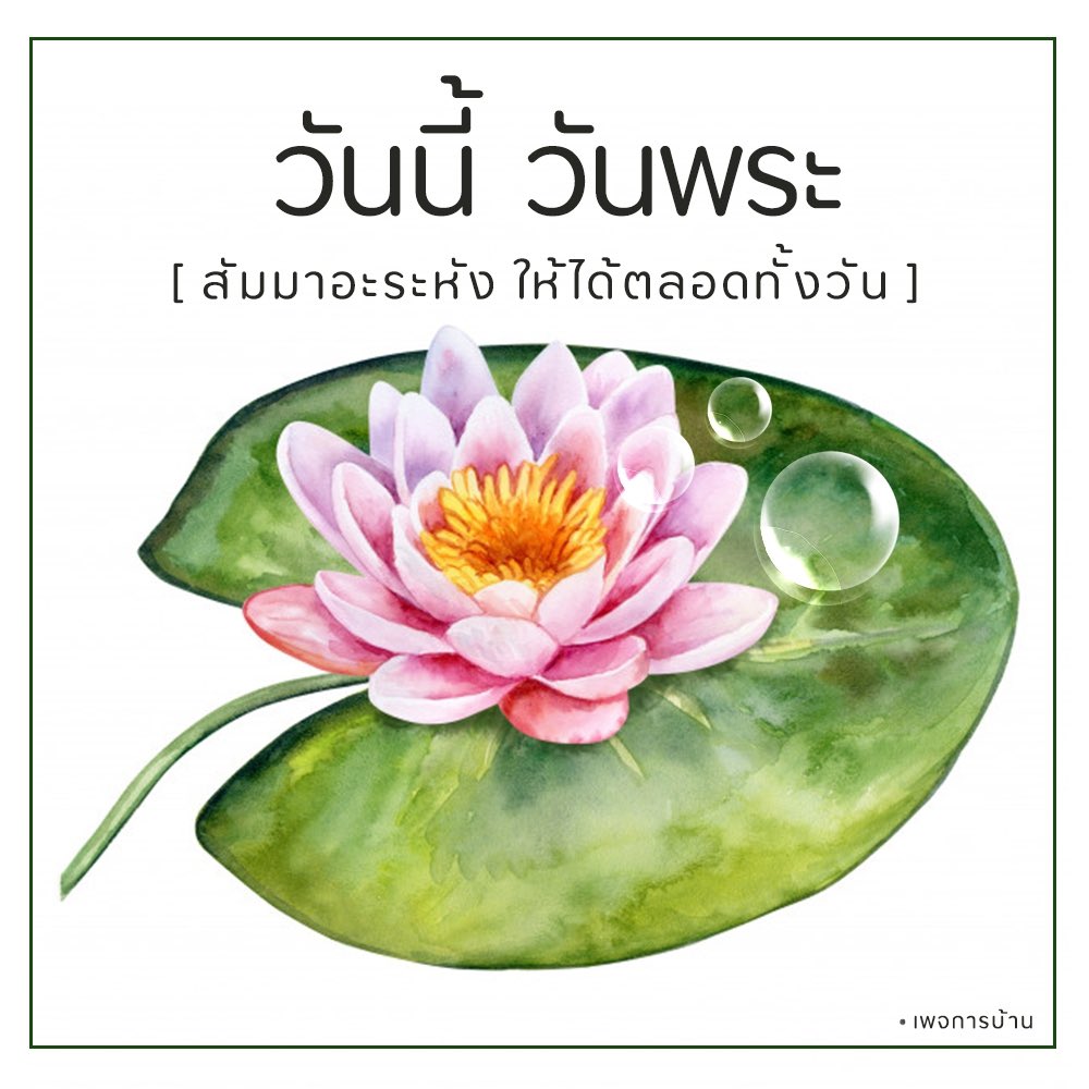 Psanitwong tweet picture
