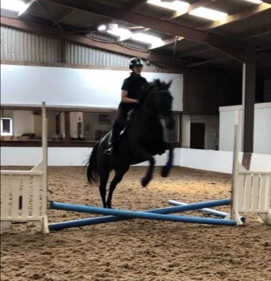 loriot48's tweet photo. Yours truly having a wee go 🙈 Clearly not enough of a challenge for Bob! #jumping #scaredycat #Ping #horses #showjumping #leapoffaith @BaileysFeeds @RoRlatest https://t.co/PjqyWNaR3L