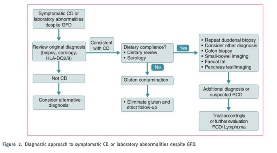 8) What to do with patients with persistent symptoms despite GFD
