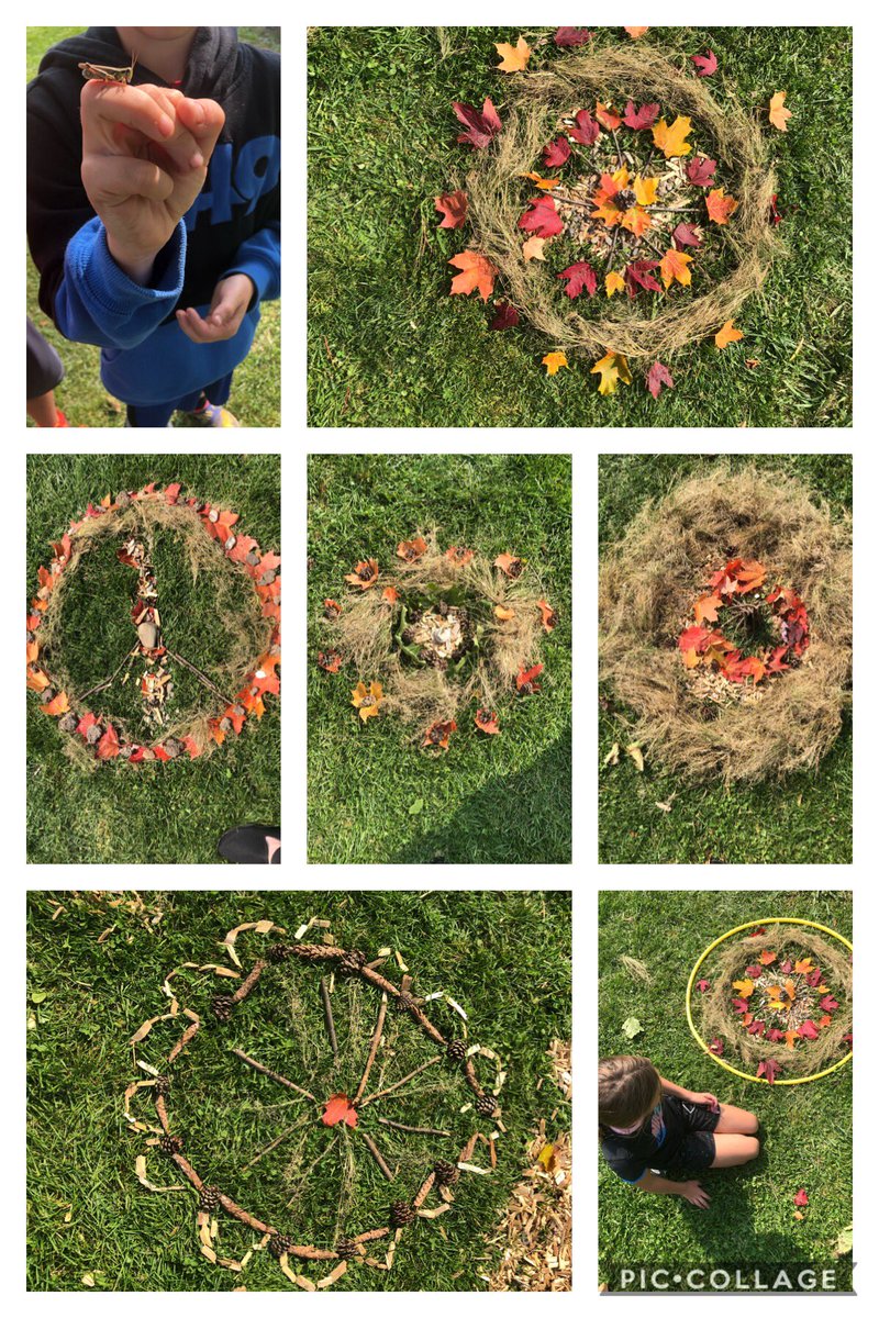 The #teamwork today @TVDSB @ParkviewPS_K for Outdoor Ed. was AMAZING! The result...six nature mandalas and ...6P also found a ‘patient’ young grasshopper.