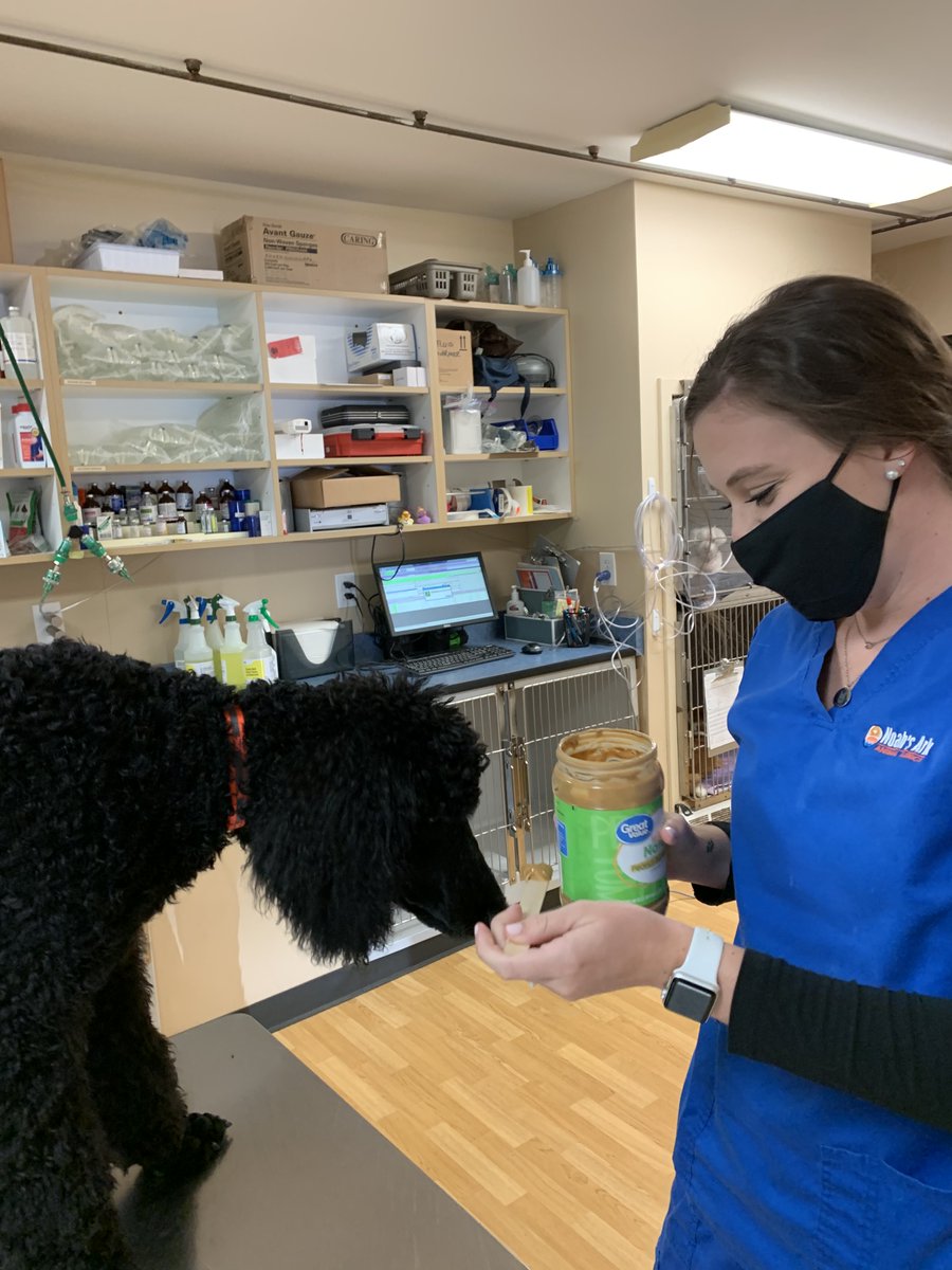 Noah's Ark Animal Clinics tweet media