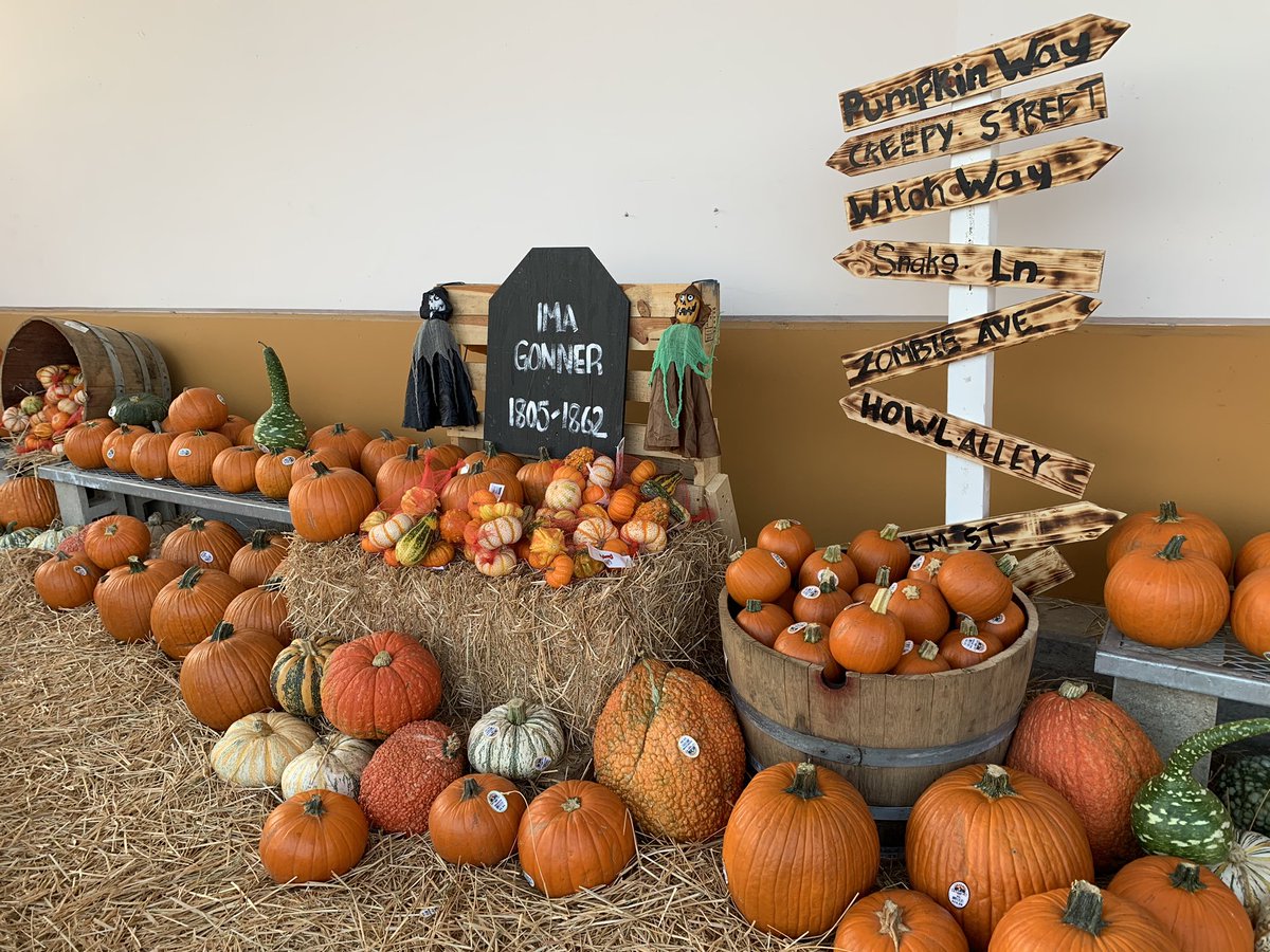 #LagunaHills6628 Pumpkin Patch! Looks great Miss Becky, THANK YOU!!!! @downeypackerfan <a href="/Steven_Mousseau/">Steven Mousseau</a> <a href="/Kmwatts26/">Katie Watts</a> <a href="/GenevayJay/">Jay Genevay</a> <a href="/asm_specialty/">Specialty ASM servant leader Jose Salcedo</a> <a href="/DiannaStore6628/">Dianna</a>