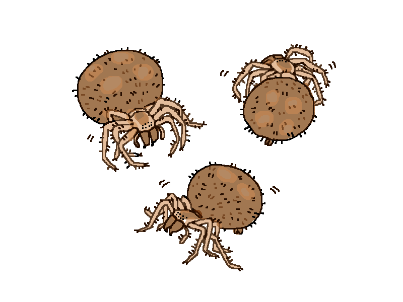 in the fall in ithaca all of the bridges get covered in THE FATTEST orb weaver spiders and I used to walk by and touch their defenseless bootie butts. i love spiders
#mossworm 
