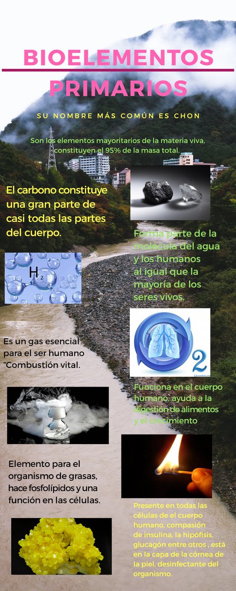 Diana31884068's tweet photo. @lisette_montiel
#bioelementos https://t.co/b0I0OM3nJy