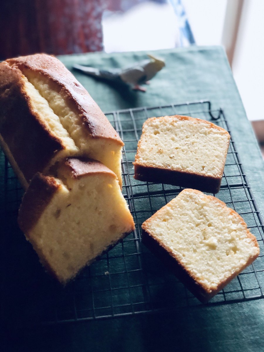 あん レモンパウンドケーキ 21センチ型でリベンジしました レモンピール多めに入れて レモン 果汁入れたけど 生地はそんなにレモンの味はしません パウンドケーキって切るのがとても難しいです お菓子作り パウンドケーキ レモン あん レモンパウンドケーキ 21センチ型でリベンジしました レモンピール多めに入れて レモン 果汁入れたけど 生地はそんなにレモンの味はしません パウンドケーキって切るのがとても難しいです お菓子作り パウンドケーキ レモン