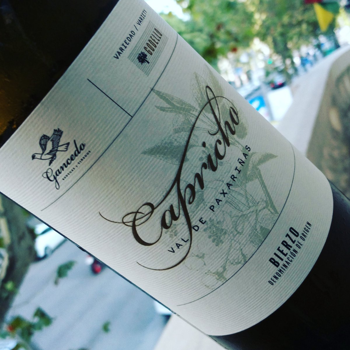 queridilla's tweet photo. #winelovers #PerfumedelVino Episodio 31... Ole ole #Hispanidad a la luz de @BodegasGancedo #entretierras @BodegasTerminus https://t.co/xUM9E3T1zE