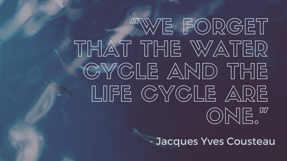 Jacques Cousteau had it right. So many water-related efforts are interconnected! Making Waves is all about exploring the intersections of water, science, society, and social justice. Visit our website to learn more -> gvsu.edu/makingwaves/cl…