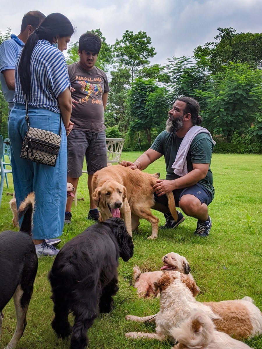 PhoebesFarm's tweet photo. just another beautiful day at #PhoebesFarm spending time with the bacchas &amp; parting knowledge with the wonderful people 🥰

#messi #labradorretriever #phoebe #rachel #greatdane #greatdanes #pandrya #indiedog #indiemix #mixbreed #blu #cockerspaniel #blackcockerspaniel #blackcocker https://t.co/tPKNcyMNVQ