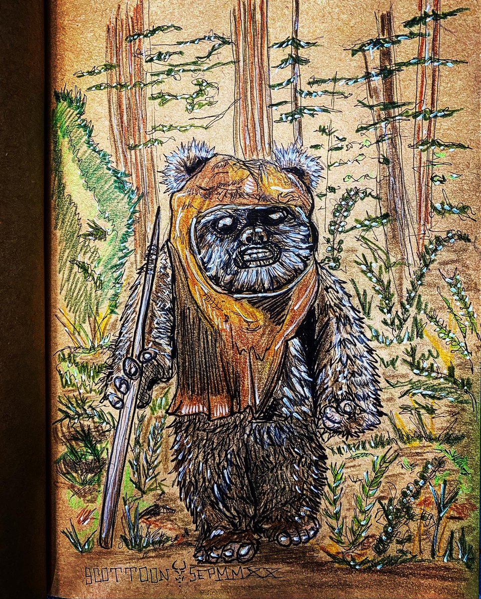 antoon88's tweet photo. Wicket #returnofthejedi https://t.co/B7lgYlgBjE