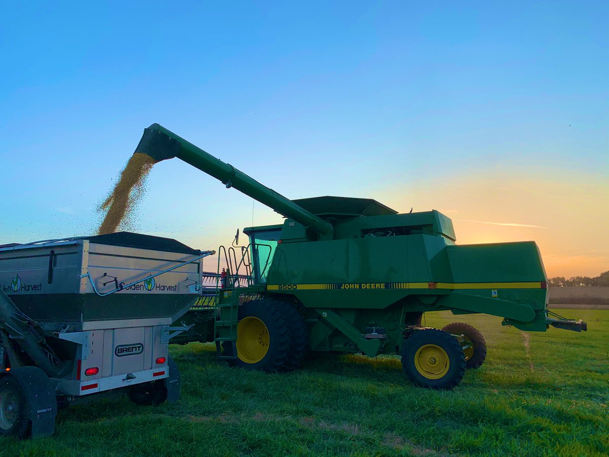 JordanneHowe's tweet photo. First @GldnHarvest soybean plot of the year is out! #harvest20 #YieldStrong #GrowWithGoldenHarvest https://t.co/4Zyl3GRMDe