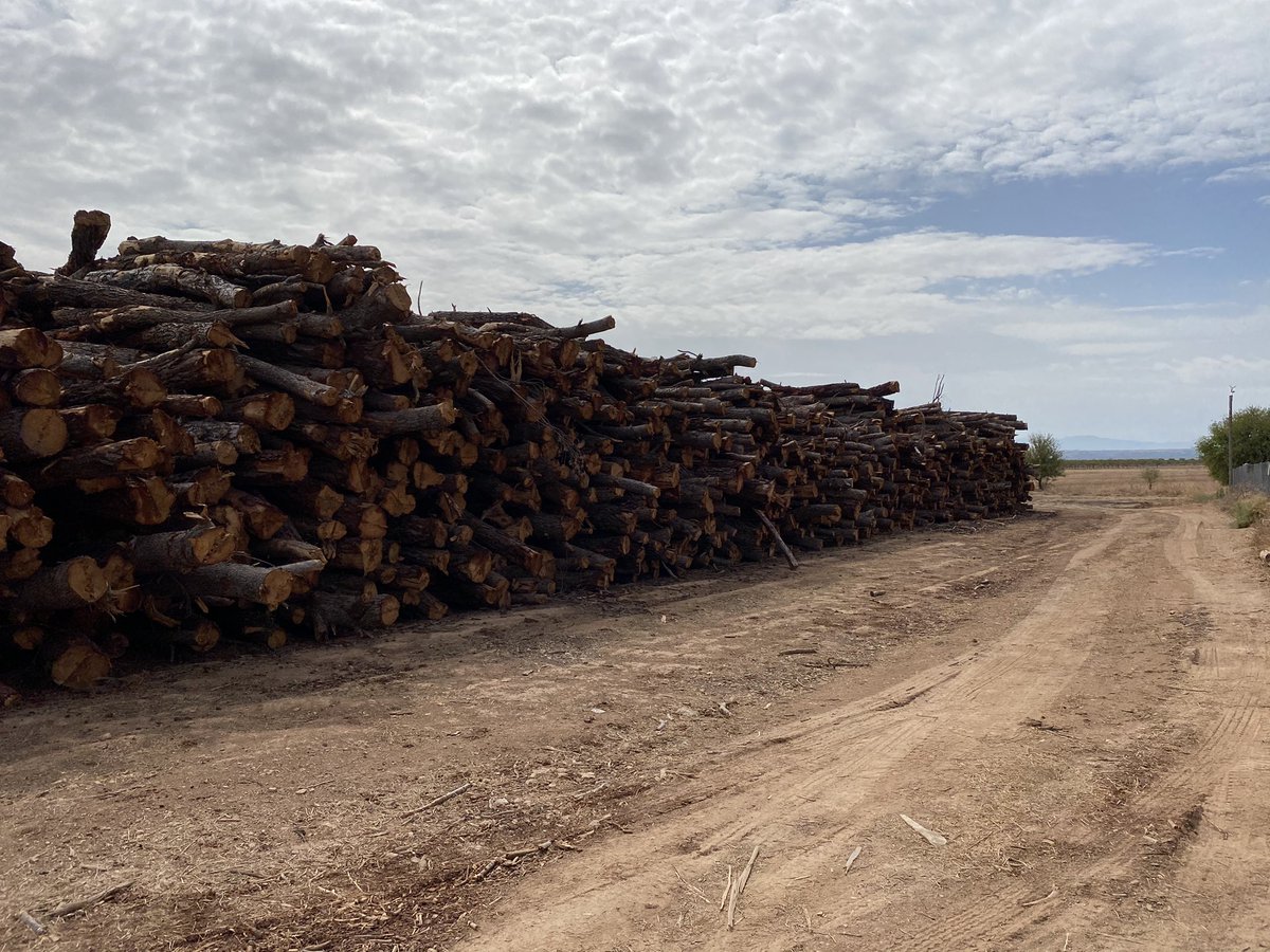 Gestión Forestal, Prevencion y Sostenibilidad van de la mano a través de los documentos técnicos adecuados y de una ejecución de silvicultura conforme a la técnica forestal.