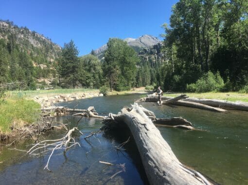 TroutUnlimited's tweet image. Wildfires in #California and throughout the West have coincided with #PublicLandsMonth. When a lot of us would rather be out in the woods, the fires are keeping us home. bit.ly/307wlL4