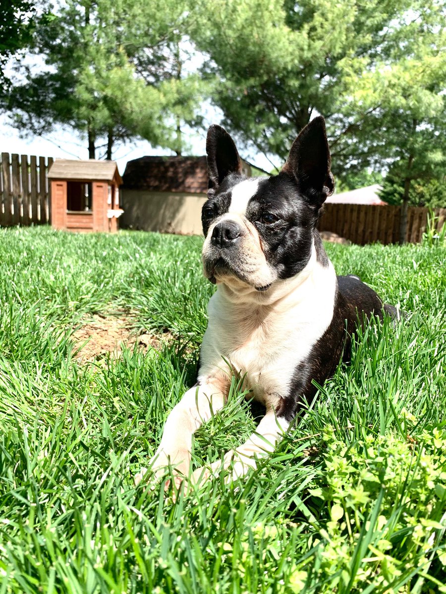 HaganBarb's tweet photo. ⁦@rickspringfield⁩   #RememberMeThursday https://t.co/18cqmeZAvJ