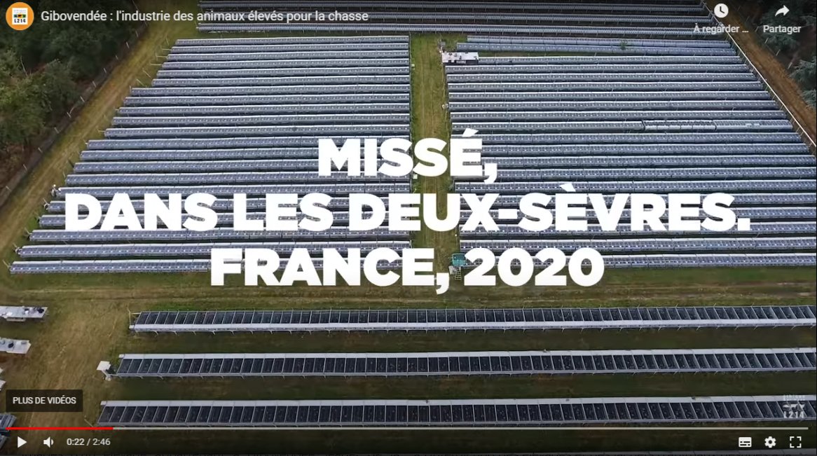 La vidéo nous montre des rangées de cages, et suggère qu'il s'agit du lieu d'élevage d'animaux en cage. C'est très trompeur. Ce que vous voyez, ce sont des pondoirs.On reviendra tout à l'heure sur le lieu réel d'élevage, que L214 ne montre pas.2/20