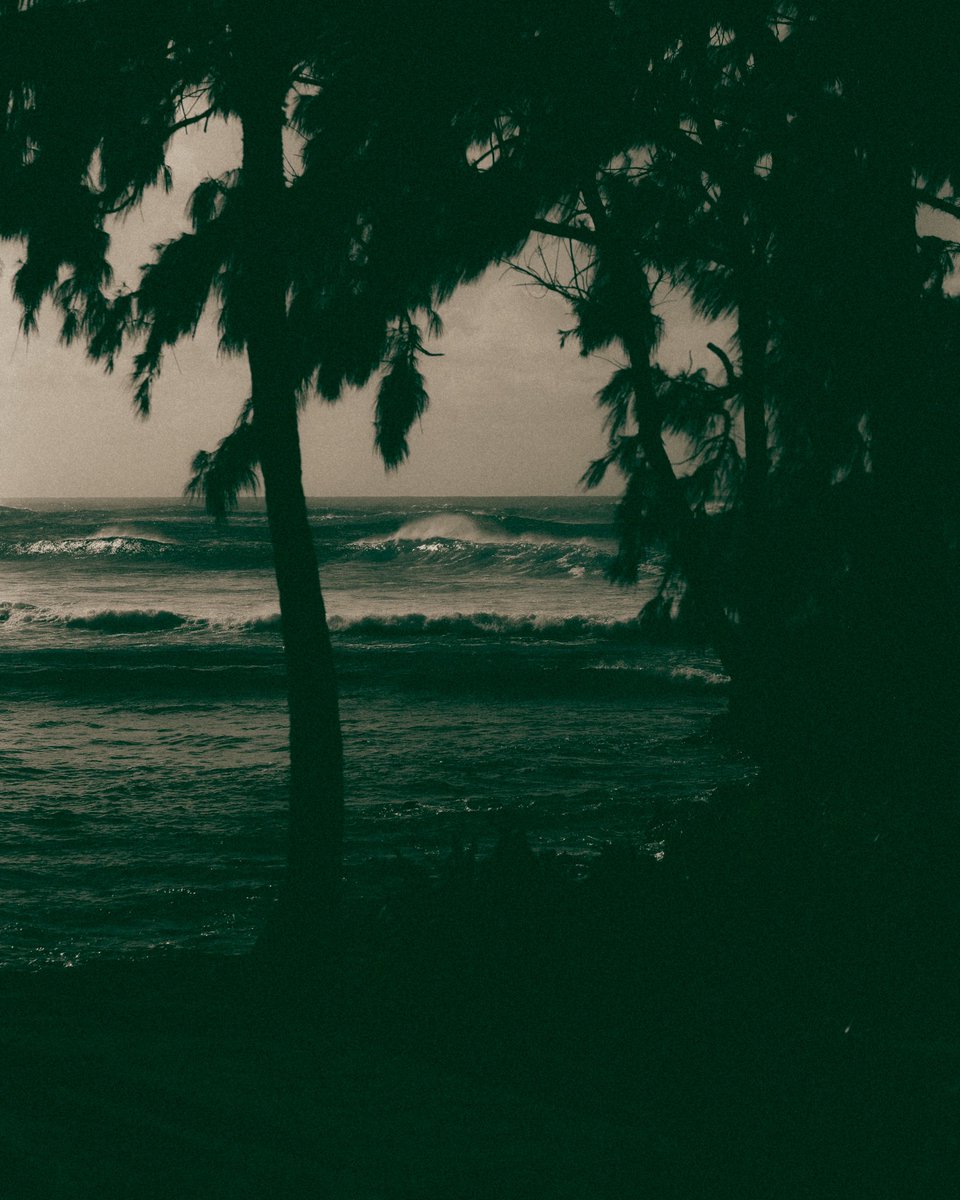 island
ivy w/ imperial motion