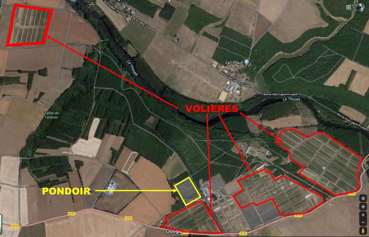 Tadaaaaaaaaa !Le pondoir filmé par L214 doit faire moins de 2 ha.La surface totale de volières doit avoisiner les 30 ha.Chaque volière est d'un seul tenant, c'est à dire qu'un animal est libre de voler d'un bout à l'autre de la volière.15/20